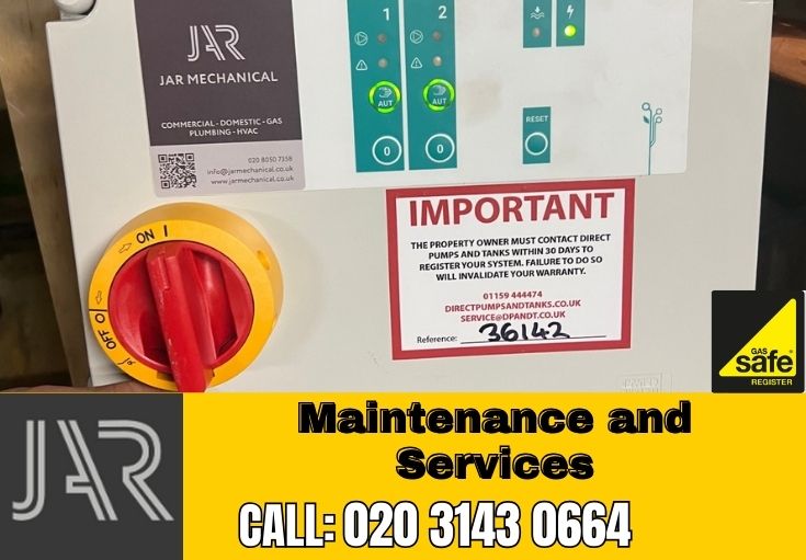 Domestic Maintenance and Services Chessington